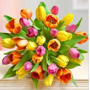 Meet your Posher, Raja